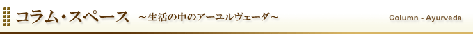 「アガスティアの葉（前世・現世・来世を語る神秘の葉）に出会う旅（ケララ・レポート番外編）」