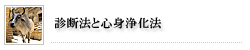 診断法（脈診）と心身浄化法（パンチャカルマ）