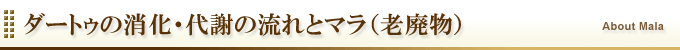 ダートゥの消化・代謝の流れとマラ（老廃物）