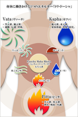 身体に働きかける3つのエネルギー「トリドーシャ」