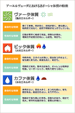 アーユルヴェーダにおける各ドーシャ体質の特徴