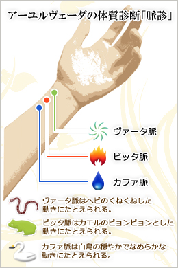 ヴェーダ 診断 アーユル 【プロ直伝】アーユルヴェーダ体質診断法｜属性・タイプを知って体調を整えよう ｜