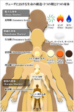 ヴェーダにおける生命の構造