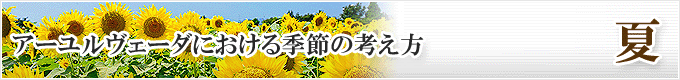 アーユルヴェーダにおける季節の考え方「夏」