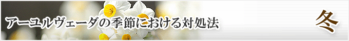 アーユルヴェーダの季節における対処法「冬」