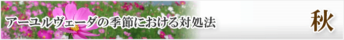 アーユルヴェーダの季節における対処法「秋」