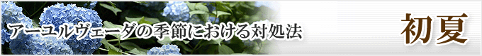 アーユルヴェーダの季節における対処法「初夏」