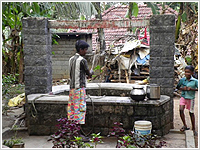 シーズ・インディア SEEDS INDIA（NGO）