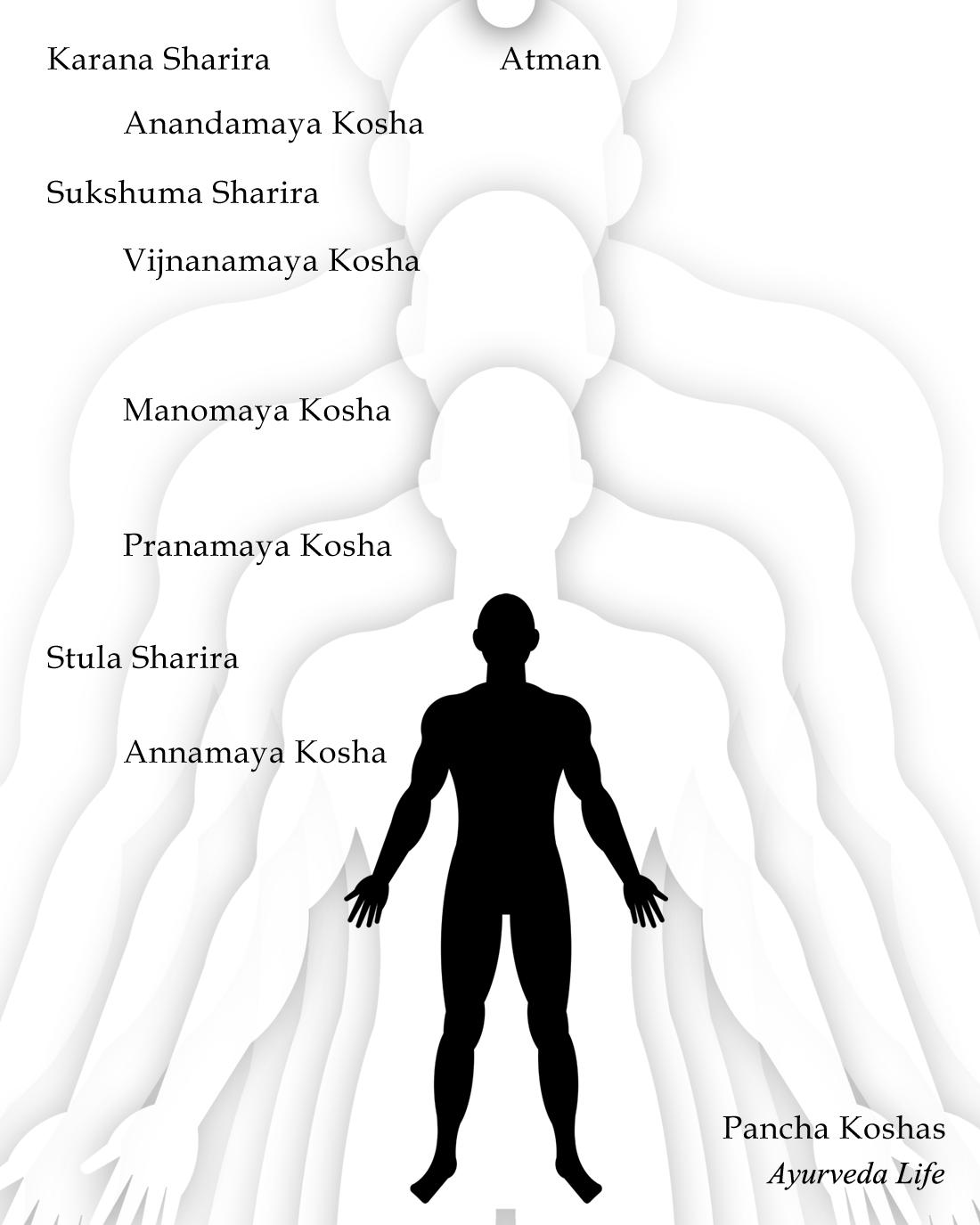 身体5層論と3つの身体（Five Koshas and Three Bodies）