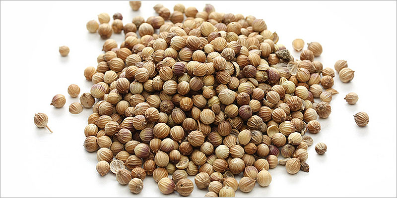 コリアンダーシード（Coriander Seed）