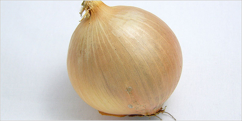 タマネギ(Onion)