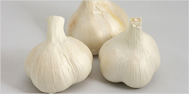ニンニク(Garlic)