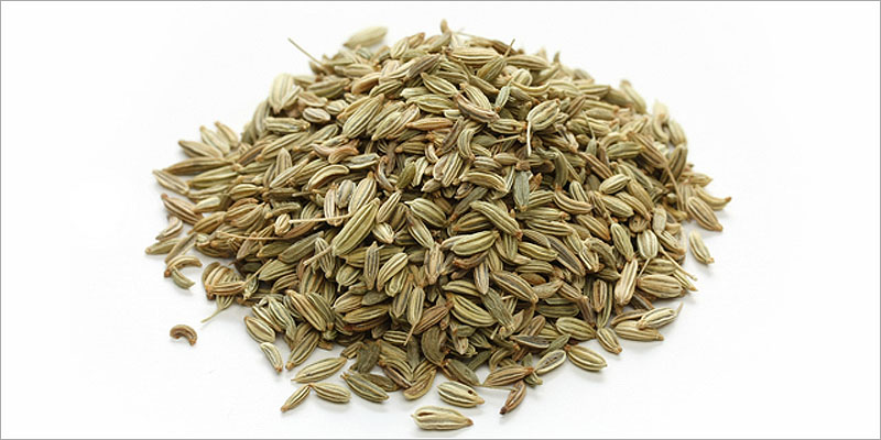 フェンネル(Fennel)